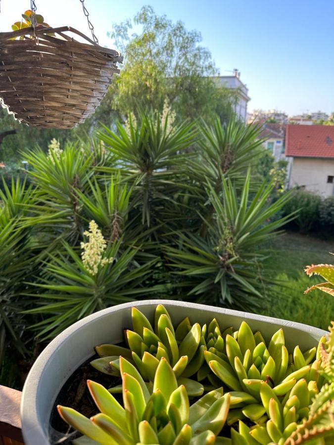 Location De Chambre Privee Dans Residence Prive, Jardins Et Parking Gratuit 1 Min To Tramway Et 9 Min De Centre-Ville, Accessibilite A Plusieurs Transports Nicea Zewnętrze zdjęcie